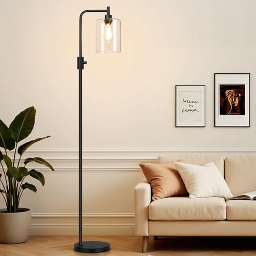 【Upgraded】 Dimmable Floor Lamp for Living Room with Clear Glass Lampshade, Bl...