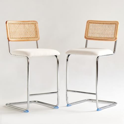 GrandNoor Natural Rattan Counter Height Stools Set of 2 with Solid Wood Back,...