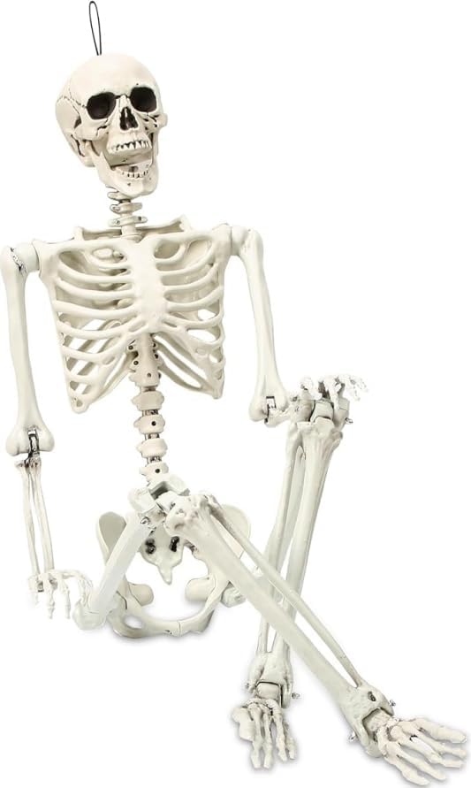 5.4 ft Posable Halloween Skeleton Decorations,Human Bones for Halloween Party...