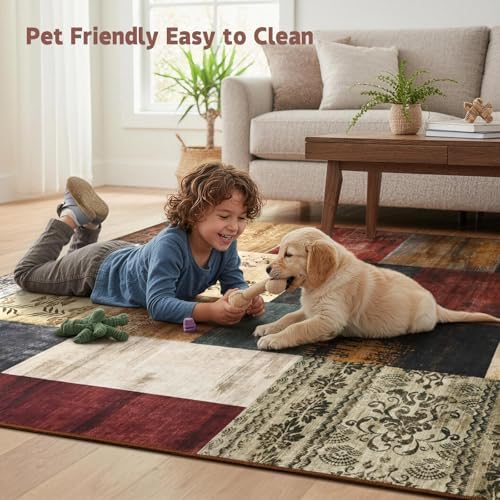 DweIke Washable Area Rugs 5x7 for Living Room, Modern Geometric Colorful Soft...