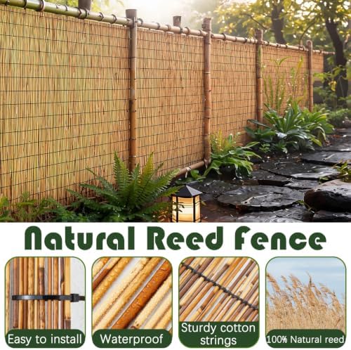 Barydat 2 Pcs 4 x 16.4 ft Reed Fence Roller