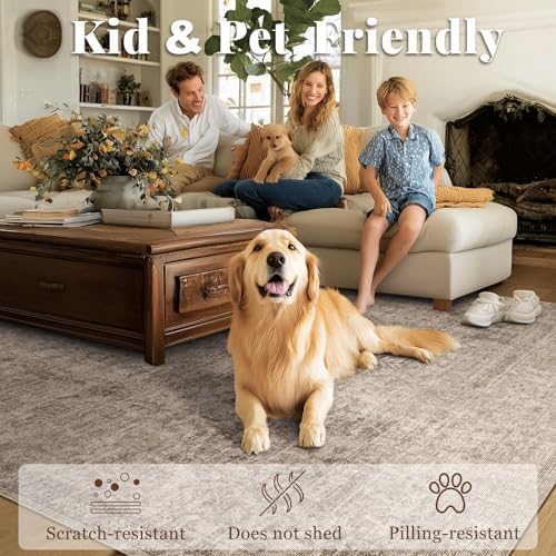 Machine Washable Rugs for Living Room: 10x14 Area Rugs for Bedroom