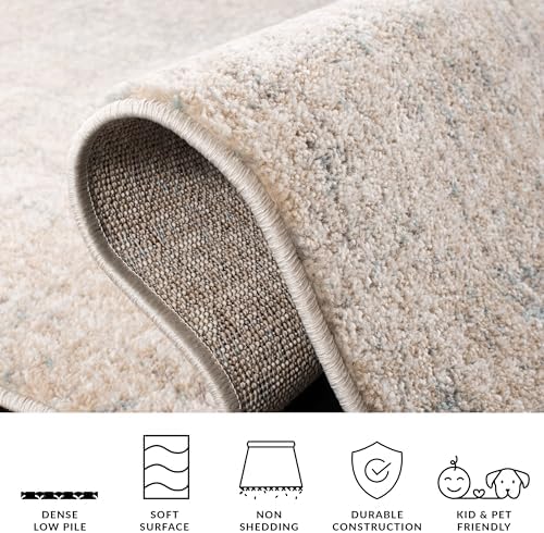 SAFAVIEH Adirondack Area Rug 6x9, Modern Beige & Slate ADR207B