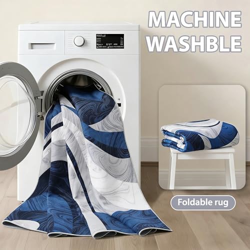 Washable Area Rug for Living Room, Indoor, Dinig Room – Soft Pile Non-Slip Ru...