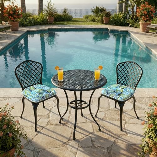 DYTXIII Set of 2 Outdoor Chair Cushions with Ties,Water Repellent Patio Chair...