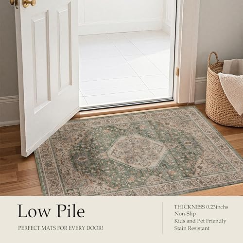 Ruaruarug Washable Area Rug 8×10 for Living Room, Ultra Soft, Celadon
