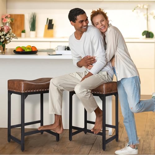 Bar Stools Set of 2, Counter Height Bar Stools for Kitchen Counter, 24 Inch S...