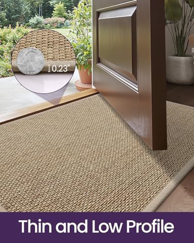 DEXI Ultra Thin Indoor Door Mat 36x56, Entrance Doormats, Beige