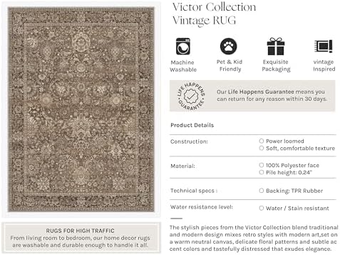 HUGEAR Area Rugs 6x9 Brown Vintage Rug for Living Room