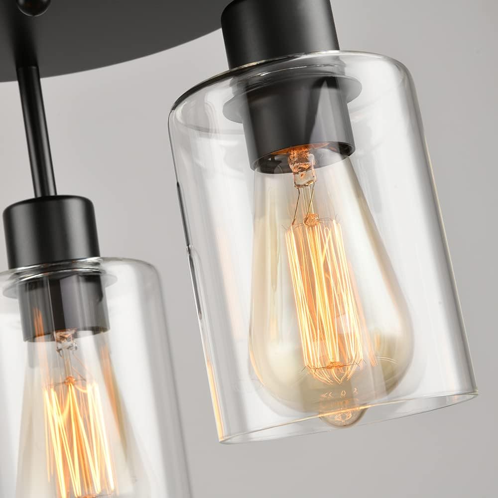 3-Light Industrial Farmhouse Black Matte Light Fixtures Ceiling Mount, with C...