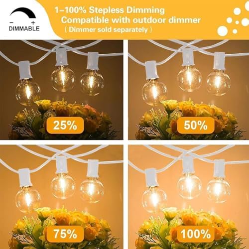 SUNTHIN White Outdoor String Lights, 48FT White Patio Lights with 25 G40 Shat...