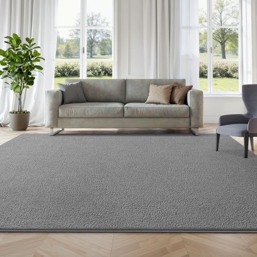 Deerhoo Large Area Rugs for Living Room Bedroom, 6 x 9 Ft, Grey