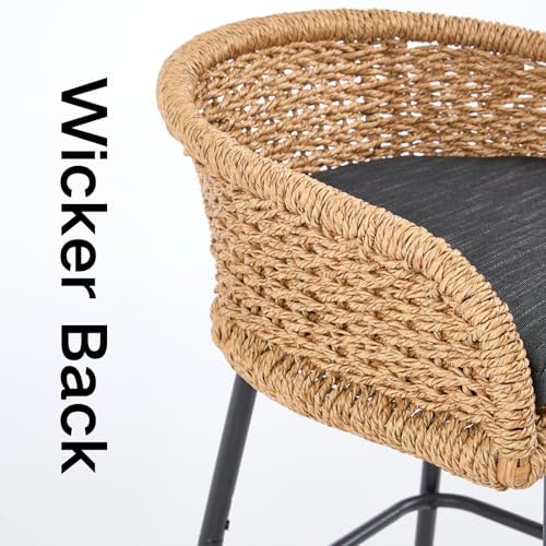 Modern 25" Rattan Counter Height Bar Stools Set of 2,Charcoal Stool Seat