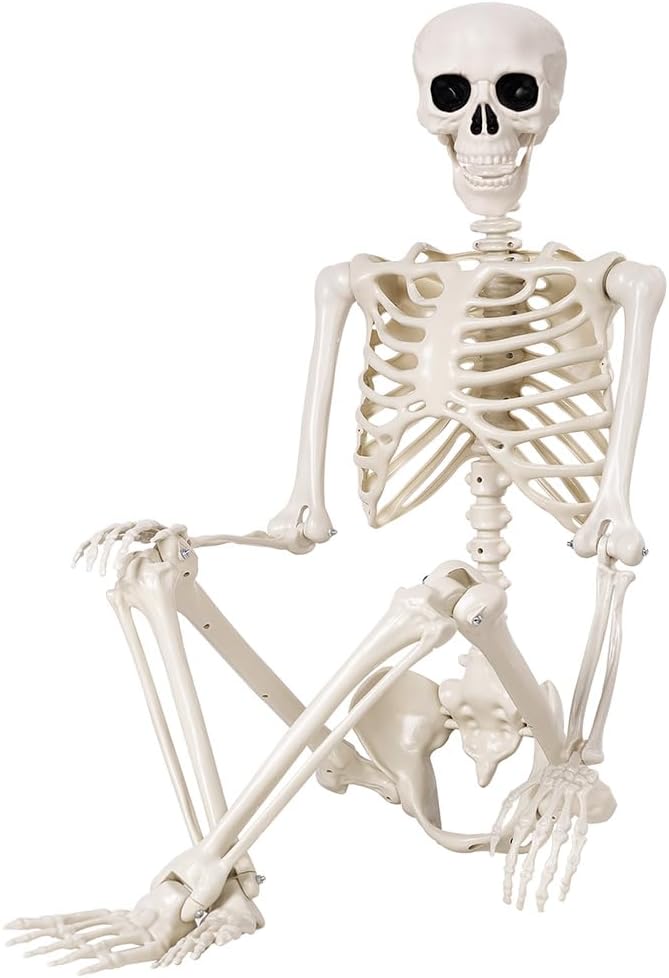 Halloween Skeletons Decorations - 5.4FT Life Size Posable Skeletons, Realistic Plastic Full Body Skeletons for Outdoor Yard Patio Lawn Garden Decor