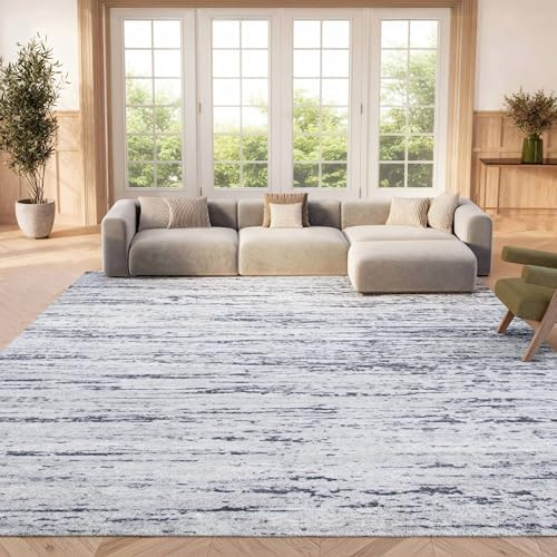 SAFAVIEH Amelia Collection Area Rug - 6' x 9', Light Grey & Charc...