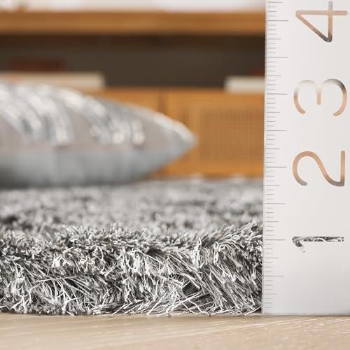 SAFAVIEH Area Rug 5x7 - Paris Shag Collection - Silver, Handmade, Soft Flowin...