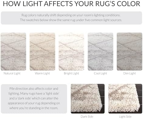 SAFAVIEH Hudson Shag Rug 10x14, Plush X-Large Multi Ivory & Beige SGH281H