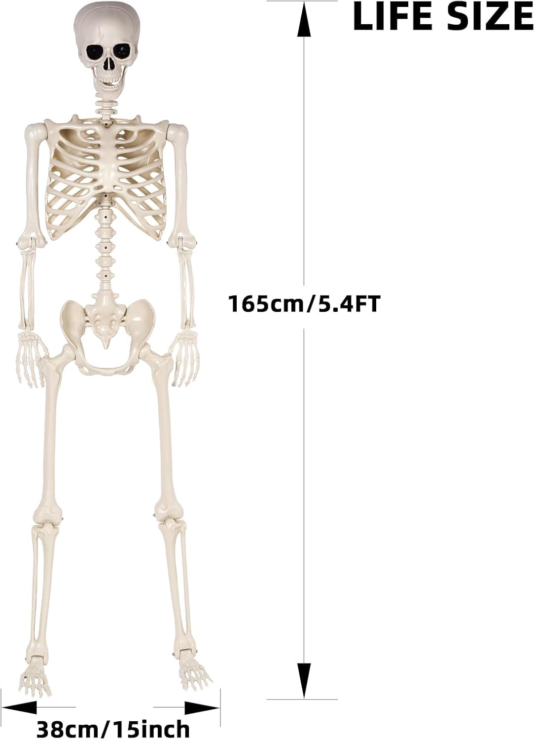 Halloween Skeletons Decorations - 5.4FT Life Size Posable Skeletons, Realistic Plastic Full Body Skeletons for Outdoor Yard Patio Lawn Garden Decor