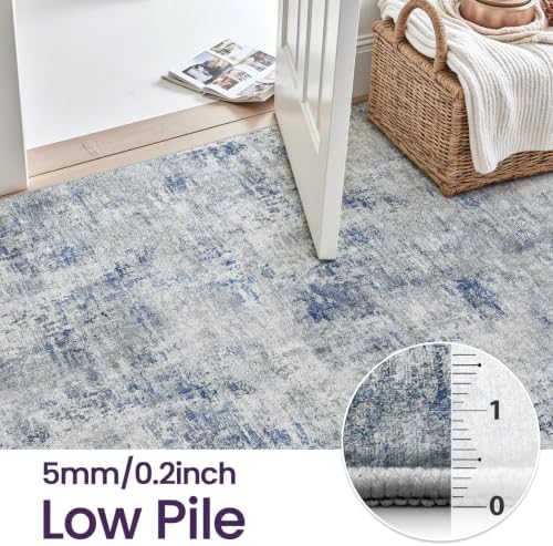 DEXI 6x9 Abstract Area Rugs for Living Room, Washable Rug for Bedroom, Blue