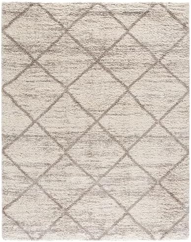 SAFAVIEH Hudson Shag Rug 10x14, Plush X-Large Multi Ivory & Beige SGH281H