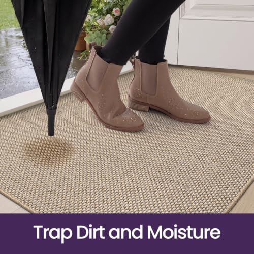 DEXI Thin Door Mat Indoor Entrance 32x48, Non Slip Entryway Mat, Beige