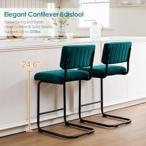 ONEVOG 24.6'' Counter Height Bar Stools Set of 2, Mid-Century Modern ...