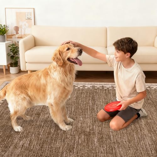 GarveeHome Living Room Rug 4x6 Washable Cross Bordered Soft Throw Carpet
