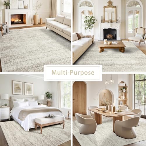 Washable Rugs 5x7 Area Rugs for Living Room,Bedroom,Dining Room Carpet