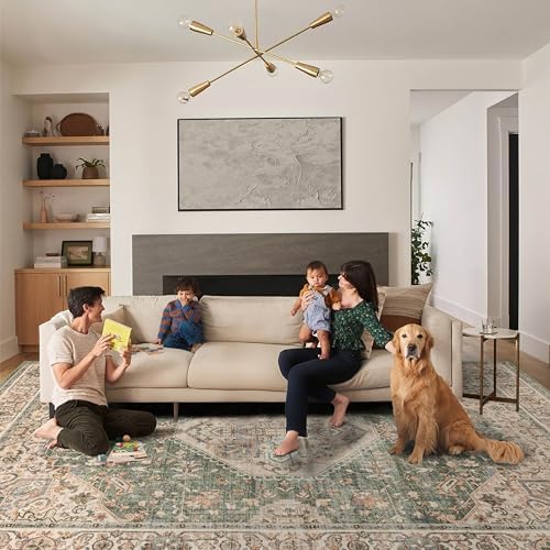 Ruaruarug Washable Area Rug 8×10 for Living Room, Ultra Soft, Celadon
