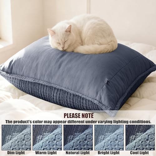 Cotton Blue Grey Decor Euro Sham Covers 26x26 Set of 2