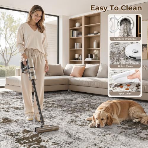 DMOYEST 8x10 Area Rug for Living Room Washable Abstract Indoor Carpet