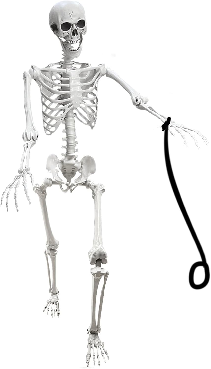 Lodou 5.4Ft Posable Life Size Human Skeleton for Halloween Decoration