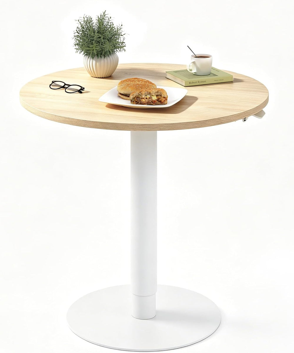 FLEXISPOT 24" Adjustable Height Round Dining Bar Table, Gas Spring Lift