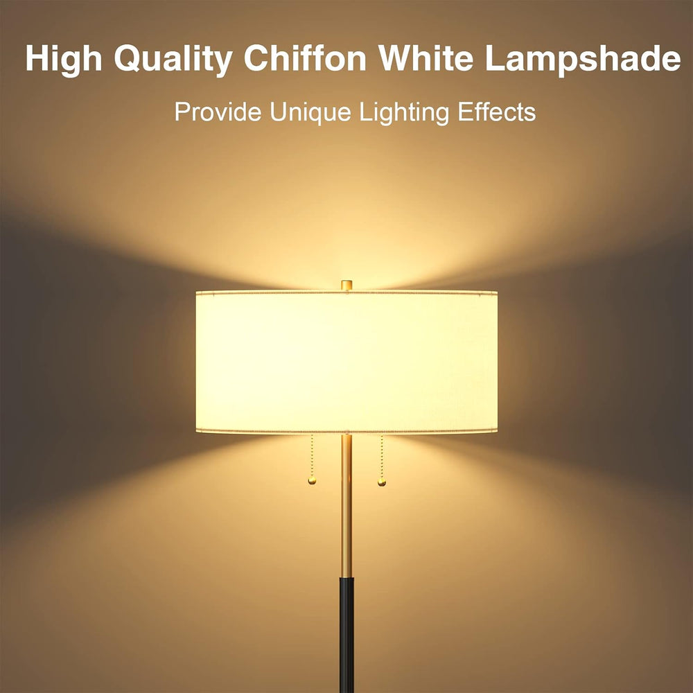 2-Light 3 Color Temperature Mid Century Floor Lamp for Living Room