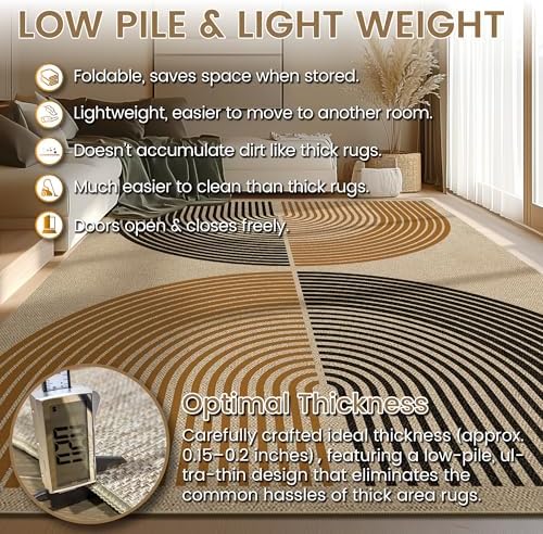 Washable 5x7 Modern Rainbow Easy Jute Indoor Outdoor Rug for Living Room