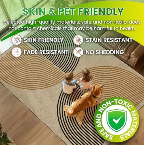Washable 5x7 Rainbow Modern Woven Indoor Outdoor Area Rug for Living Room