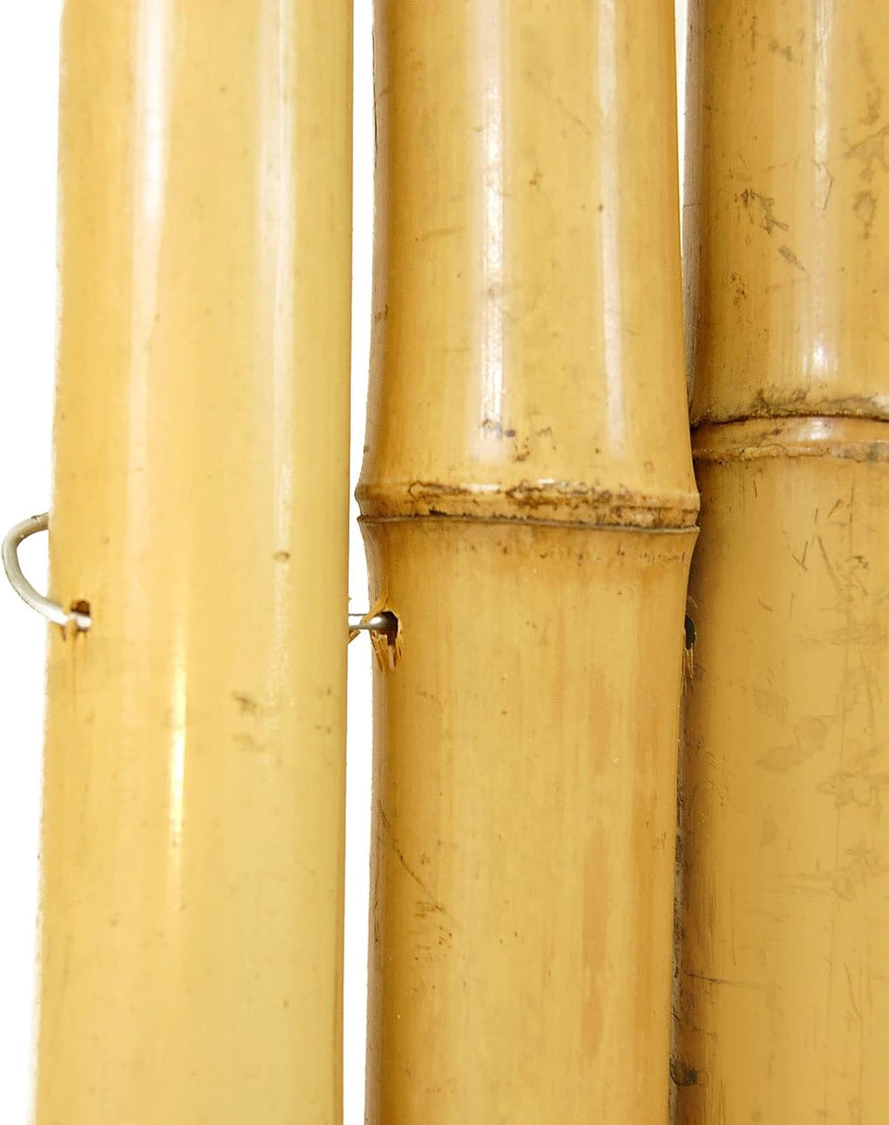 FOREVER BAMBOO Natural Bamboo Fencing Decorative Rolled Fence Panel 1 in D x ...