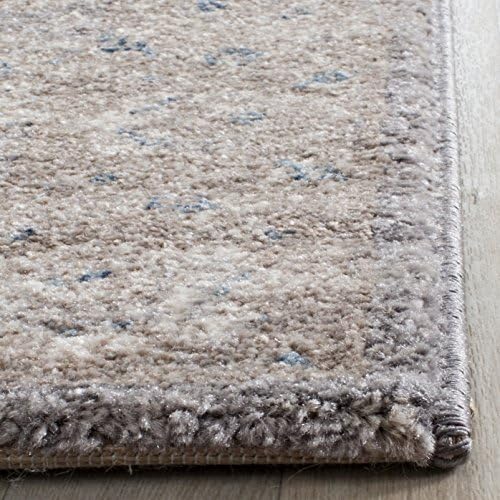 SAFAVIEH Sofia Collection Area Rug - 10' x 14', Light Grey & Beig...