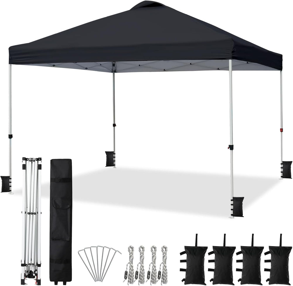 VINGLI 10x10 Pop Up Canopy Tent with Carry Bag and Sandbags, Outdoor Gazebo C...
