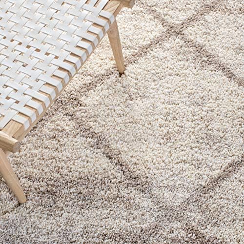 SAFAVIEH Hudson Shag Rug 10x14, Plush X-Large Multi Ivory & Beige SGH281H