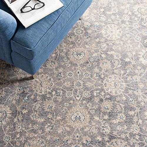 SAFAVIEH Sofia Collection Area Rug - 10' x 14', Light Grey & Beig...