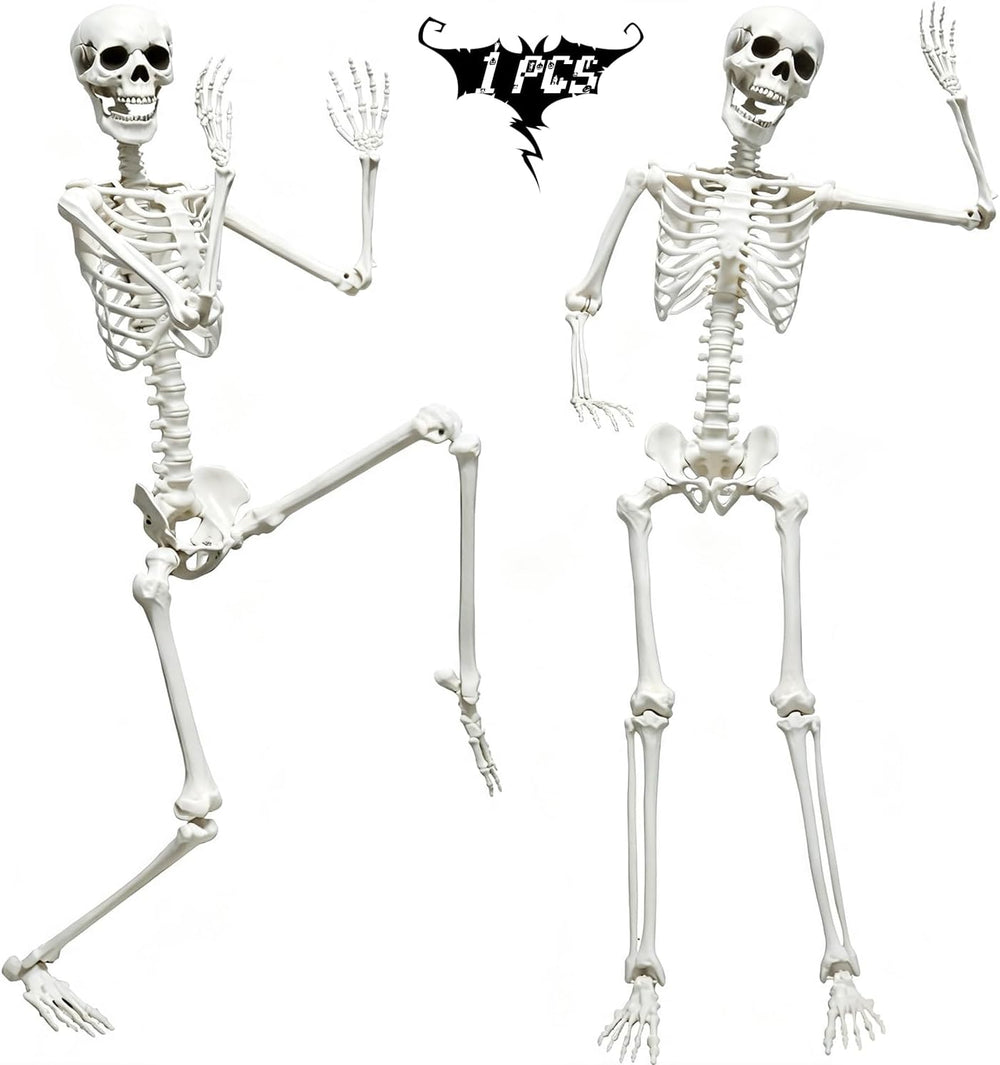 5.9FT Skeleton Halloween Full Size, Life Size Skeleton with Posable Joints
