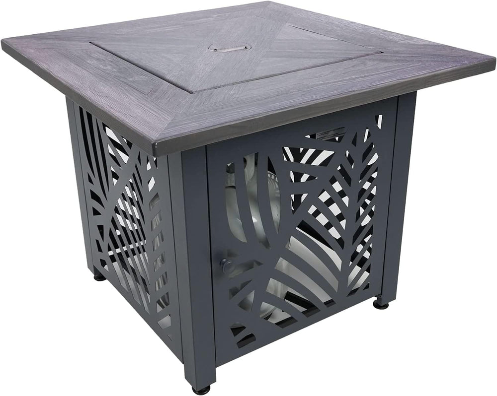 Endless Summer Lindsey 30 in LP Gas Fire Pit Table, Steel Base, GAD15318ES