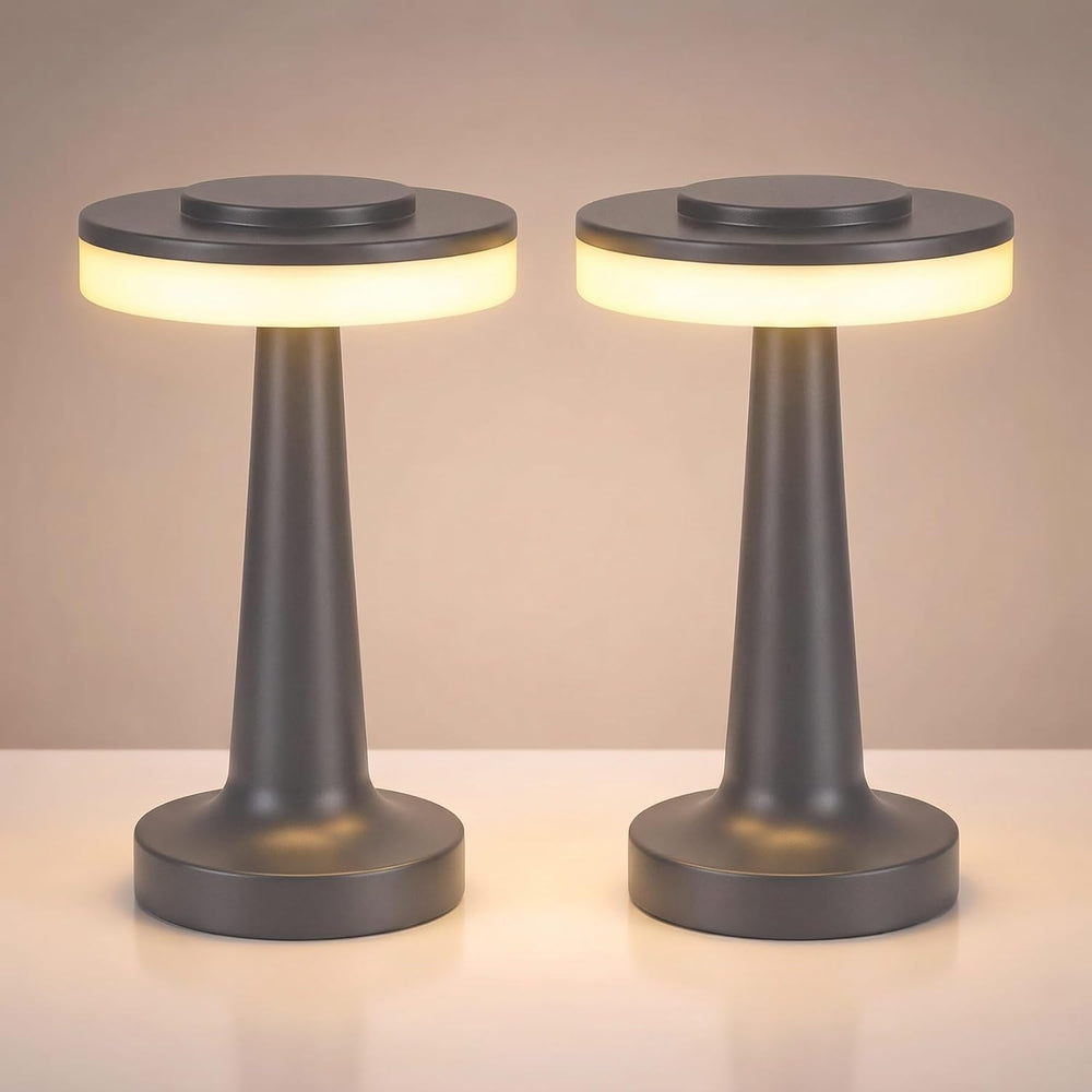 Riakrum 2 Pcs LED Cordless Table Lamp Bulk Rechargeable,Gray