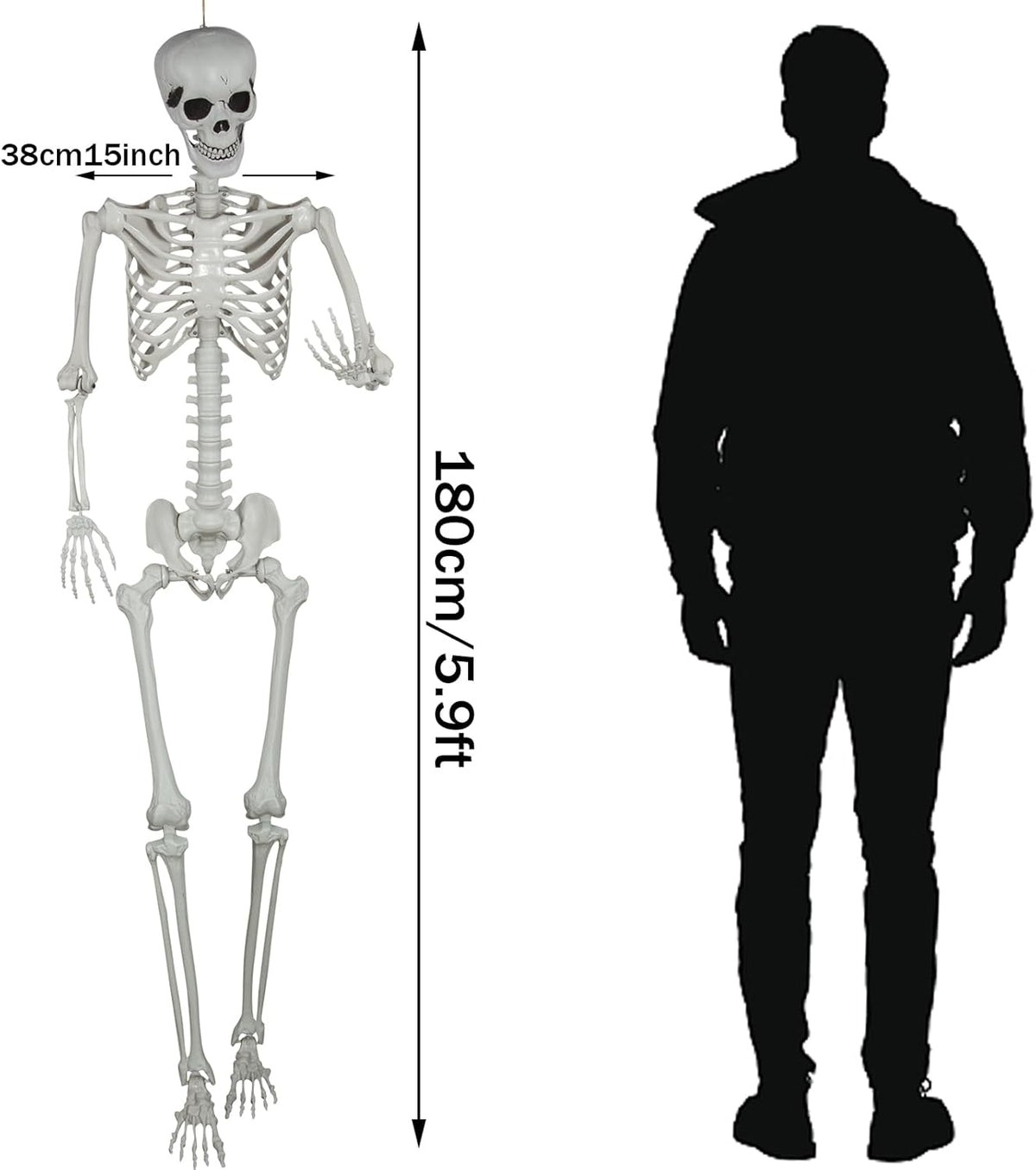 5.9ft Halloween Life Size Skeleton Realistic Full Body Skeletons Plastic Human Bones with Movable Joints for Halloween Props Spooky Party Decoration