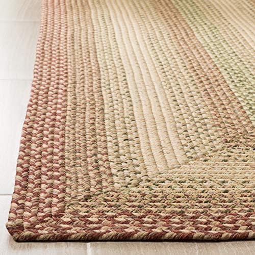 SAFAVIEH Braided Indoor/Outdoor Area Rug 10x14, X-Large Rust BRD303A