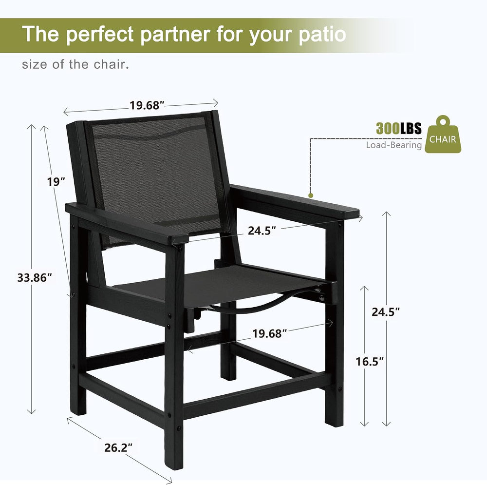 LZRS Dining Chairs,HDPE Outdoor Chairs Set of 2, All Wather Heavy Duty with C...