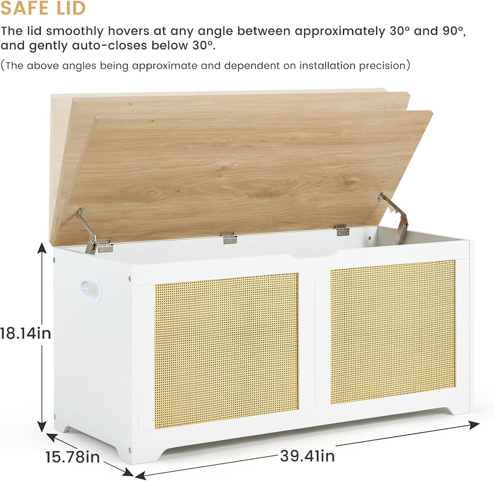 EROMMY 39.4" Storage Chest with 2 Safety Hinges, Rattan Storage Bench, S...