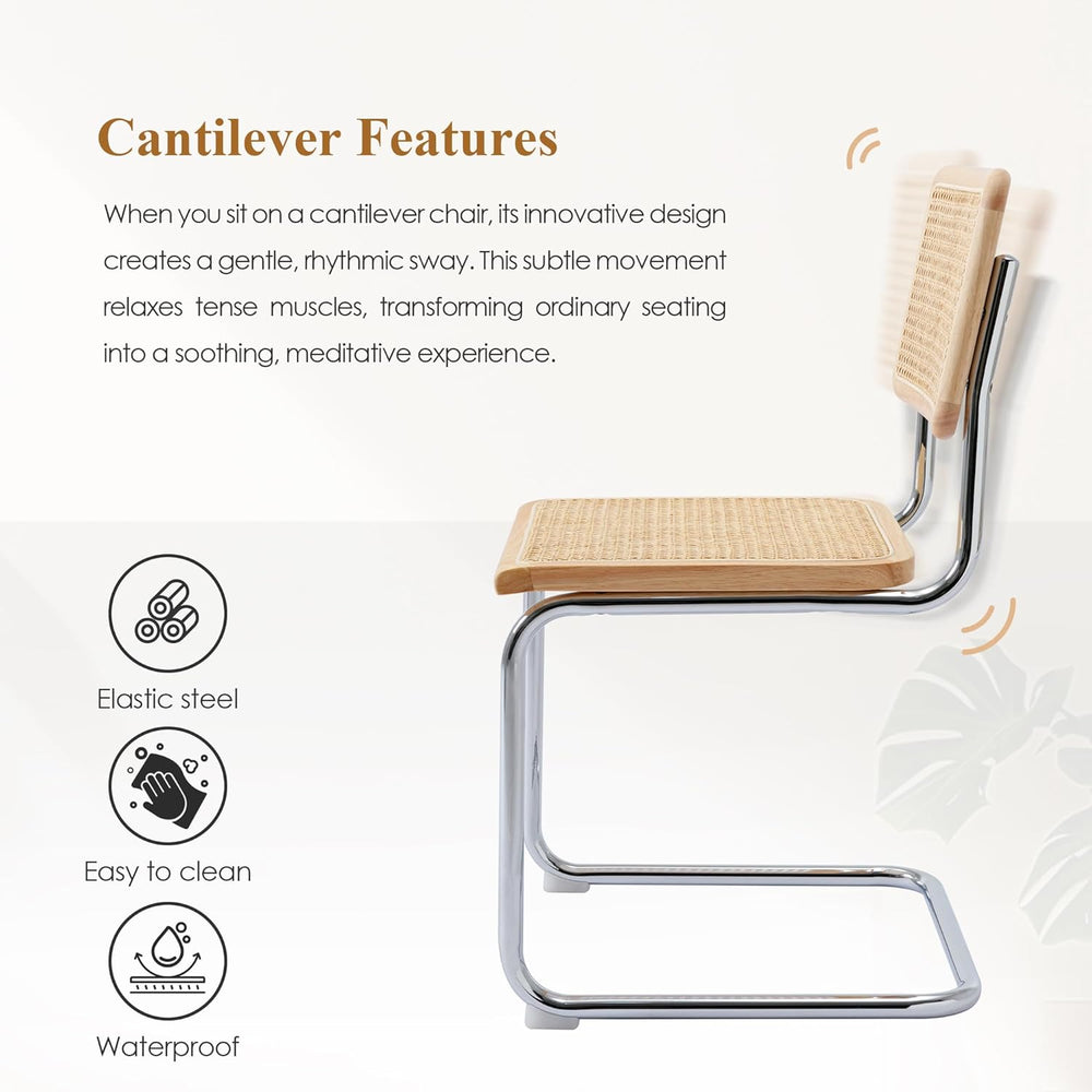 Rattan Cantilever Dining Chairs Set of 2, Boho Modern Dining Chairs with Ratt...