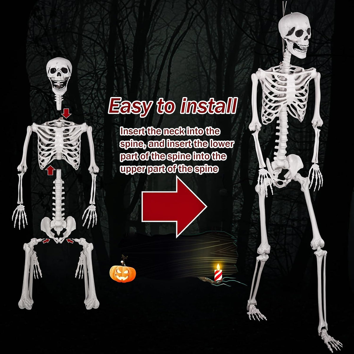 5.9ft Halloween Skeleton, Realistic Life Size Skeleton with Movable Joints for Halloween Party Haunted House Outdoor Decoration
